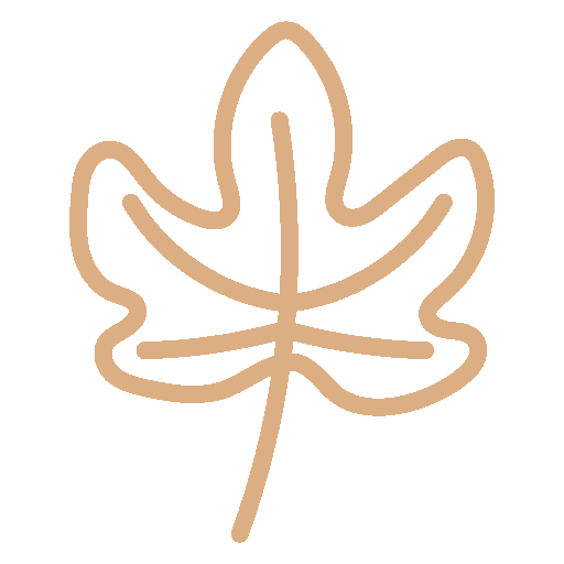 Lavande